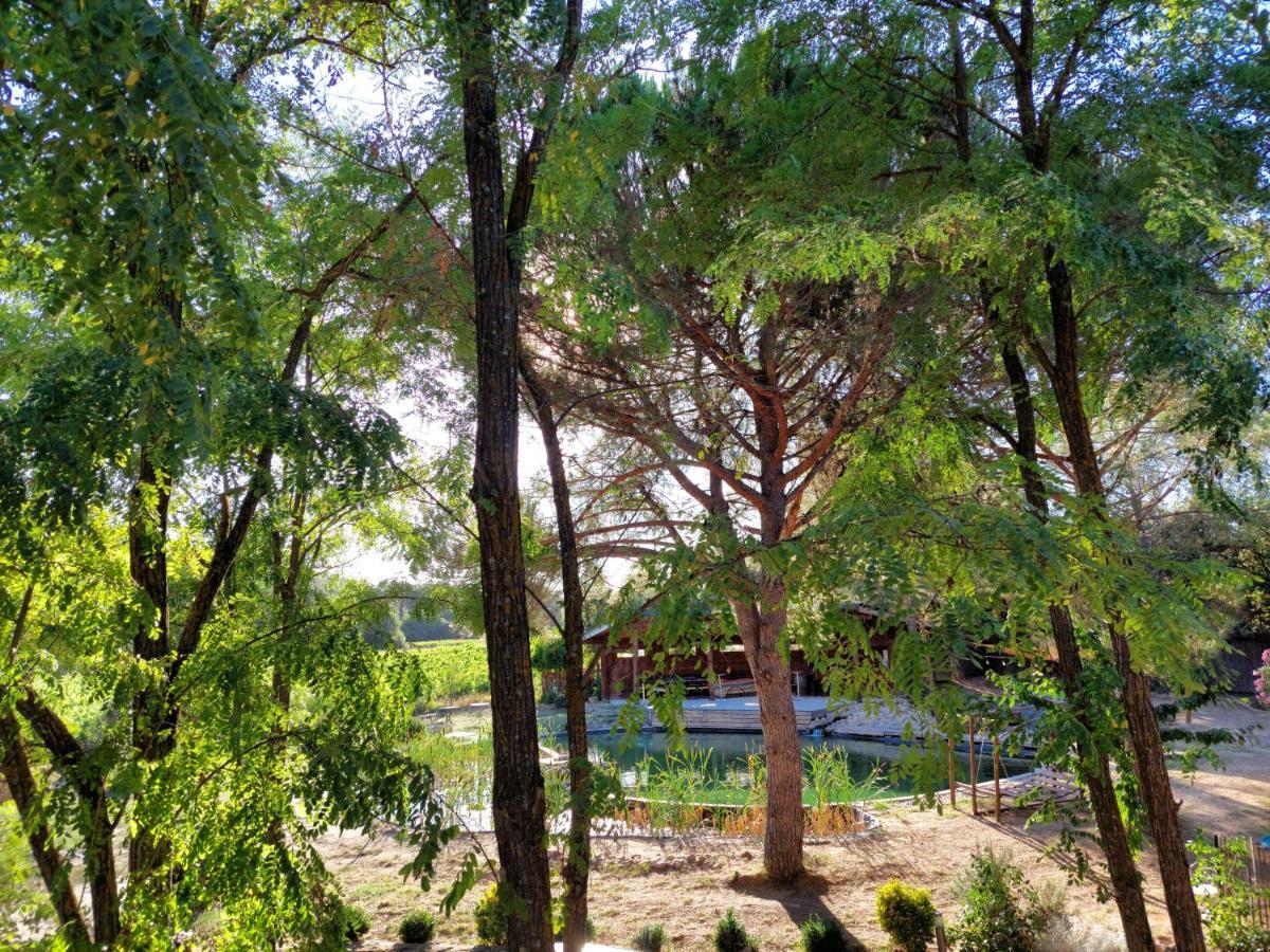 L'Etang Des Cigales Διαμέρισμα Uchaux Εξωτερικό φωτογραφία