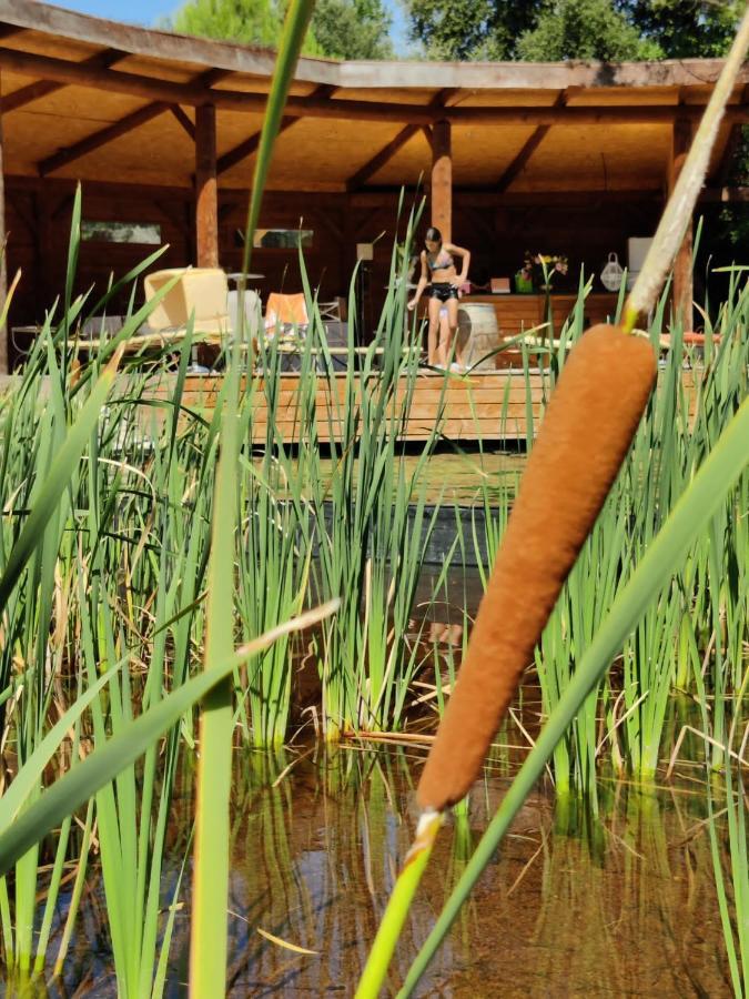 L'Etang Des Cigales Διαμέρισμα Uchaux Εξωτερικό φωτογραφία